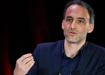 ღარიბაშვილმა ხელი მოაწერა, რომ ეს არის პოლიტიკური საქმე – ევროპარლამენტარი მიხეილ სააკაშვილზე