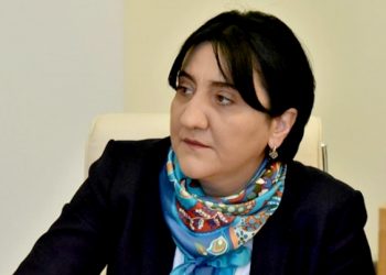 „ნაციონალური მოძრაობისთვის“ ხელისუფლების გადაბარების პროცესი დაწყებულია” – ირმა ინაშვილი