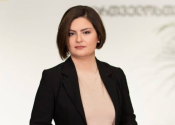 ,,სასწრაფომ ჩვენამდე ერთი საათი ვერ მოაღწია… ველით კვლევის შედეგებს” – ანა ნაცვლიშვილი