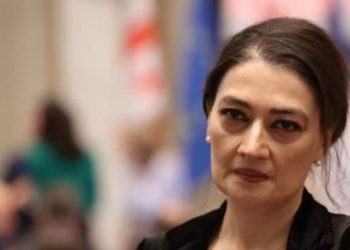 “გელოდებით “ოპოზიციის ლიდერებს ჩრდილოვანი კაბინეტიდან”, გისმენთ ყურადღებით!” – თაკო ჩარკვიანი