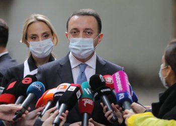 თქვენ ხართ მოძალადე და პროვოკატორი – ღარიბაშვილი დეა მამისეიშვილს