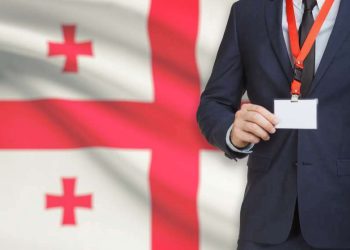 თვითმმართველობის არჩევნებს 100 ადგილობრივი და 52 საერთაშორისო ორგანიზაცია დააკვირდება