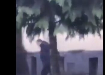 ოზურგეთის მოქმედი მერი “ენმ”-ის ჯგუფს შეხვდა – მედიაში შეხვედრის ფოტო-ვიდეო კადრები ვრცელდება