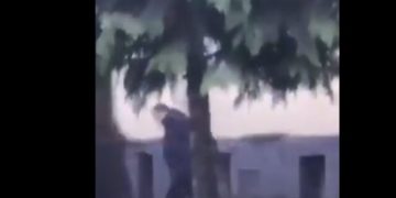 ოზურგეთის მოქმედი მერი “ენმ”-ის ჯგუფს შეხვდა – მედიაში შეხვედრის ფოტო-ვიდეო კადრები ვრცელდება