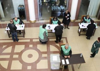 15:00 საათისთვის, ამომრჩეველთა აქტივობა 33,18%-ია