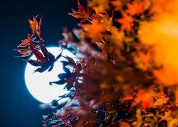 “ამ დღემ შესაძლოა ფარდა ახადოს დაფარულ რაღაცებს, გამოიწვიოს უსიამოვნო რეაქციები” –  სავსემთვარეობა, თბილისის დროით 18:56 საათზე