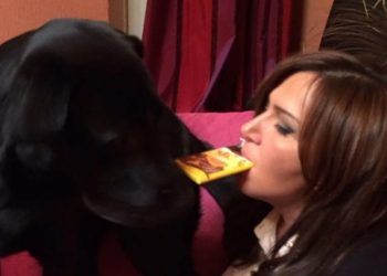 (ფოტოები) – “ყველაზე უბედური ვარ მთელს დედამიწაზე, ვერასოდეს გადავიტან ამას…” – ინგა გრიგოლია