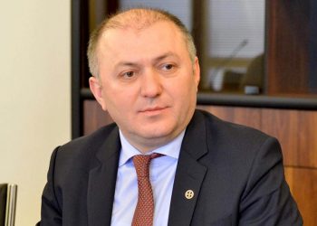 ძალოვნებმა არ იციან როგორ შემოვიდა მიხეილ სააკაშვილი საქართველოში – დიტო საძაგლიშვილი