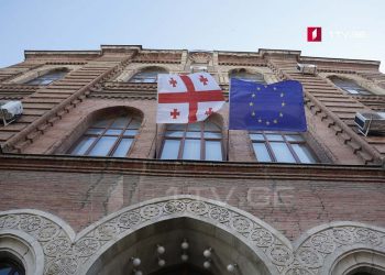 5 ახალი ელჩი – ვინ დაინიშნა უკრაინაში საქართველოს ელჩად?