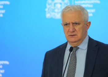 საკოორდინაციოს მწვანე პასპორტებზე სრული პაკეტი წარვუდგინეთ, ვნახოთ – გამყრელიძე