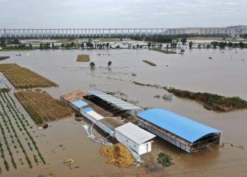 ჩინეთში წყალდიდობის შედეგად 29 ადამიანი დაიღუპა