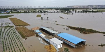 ჩინეთში წყალდიდობის შედეგად 29 ადამიანი დაიღუპა