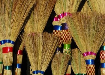 “კუკარაჩა, შენ შეგიძლია მილიონი ცოცხი დამახვედრო გზაზე? – აი, ღარიბას კი შეუძლია” – გამზარდია