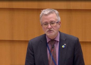 ზოგადად საარჩევნო პროცედურა ნორმალურად მიმდინარეობს – მიხაელ გალერი