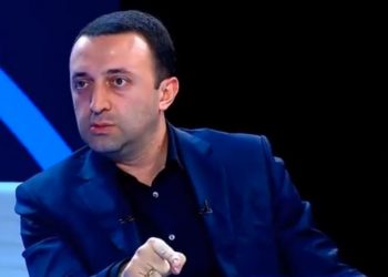 ფოტიგა რატომ ბედავს ამდენს? კუბილიუსმა თავის ქვეყანას მიხედოს, გლუკსმანი ზღულაძის მეუღლე იყო – პრემიერი ევროპარლამენტარებზე