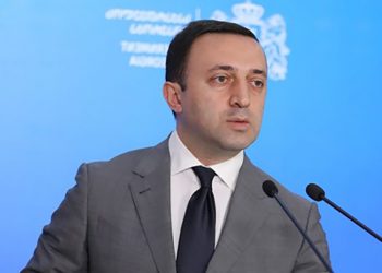 “ბატონო პრემიერო, შეგიხედიათ იმ მხედრიონელების ოჯახებში რომლებმაც შვილი, მეუღლე ბრძოლის ველზე დაკარგეს… არა? რატომ? არ გაინტერესებთ?”  – წერილი პრემიერს