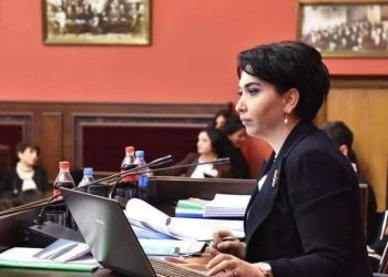 “უნდა ვისწავლოთ მართვა კომპრომისული გადაწყვეტილებების გზით” – ეკა ბესელია