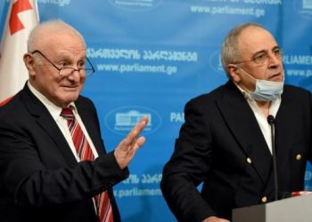 ევროპელი სოციალისტების აზრით, 3+3 ფორმატში საქართველოს მონაწილეობა უმნიშვნელოვანესია