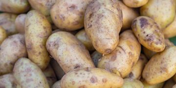 25 000 კილოგრამი კარტოფილი ექსპორტიორ ქვეყანაში გაბრუნებას დაექვემდებარა