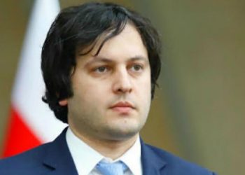 რამდენი ევროპარლამენტარი გამოაცხადა კობახიძემ სააკაშვილის დანაშაულის თანამონაწილედ?