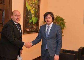 ვინ მფარველობს ირაკლი პეტრიაშვილს? რა სქემით ნიავდება ხალხის კუთვნილი ქონება და ვინ შოულობს დიდ ფულს?!