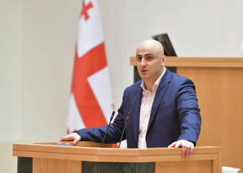 ნიკა მელიას საპარლამენტო უფლებამოსილება შეუწყდა