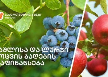 საქართველოს ბანკი მომხმარებელს შეღავათიან აგროკრედიტს სთავაზობს