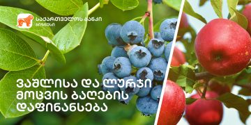 საქართველოს ბანკი მომხმარებელს შეღავათიან აგროკრედიტს სთავაზობს