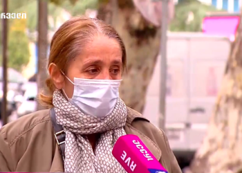 პარკი ბუნებრივი ზედაპირით უნდა იყოს აღჭურვილი – ნატა ფერაძე