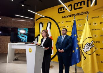 ანა ნაცვლიშვილი – საარჩევნო უბანთან მობილიზებული არიან მოკრიმინალო ელემენტები, რომლებიც ცდილობენ ამომრჩევლის  ნების გაკონტროლებას