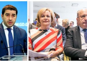 “ენმ”-ის პარტნიორები, სააკაშვილის მეგობრები, რეალობას აცდენილები, კანონის უპატივცემულობა” – პაპუაშვილი ევროპარლამენტარებზე