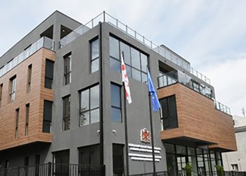 საქართველოს გენერალური პროკურატურის გენერალური ინსპექციის მიერ წარდგენილი მტკიცებულებების საფუძველზე, თბილისის საქალაქო სასამართლომ დიდი ოდენობით თაღლითობაში ბრალდებული დამნაშავედ ცნო