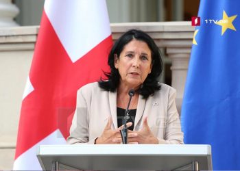 პრეზიდენტმა გვითხრა, რომ მასაც უსმენენ – ევროპარლამენტარი