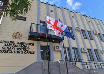 პროკურატურის მიერ წარდგენილი მტკიცებულებების საფუძველზე, გენდერის ნიშნით, დედის მკვლელობის მცდელობაში ბრალდებულს 14 წლით თავისუფლების აღკვეთა მიესაჯა