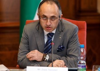 “ფულზე დახარბების გამო ბავშვები დაიღუპნენ და ოჯახები გადანდგურდნენ” – ზაზა წერეთელი