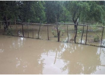 ლანჩხუთის მუნიციპალიტეტში ძლიერმა წვიმამ პრობლემები შექმნა