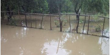 ლანჩხუთის მუნიციპალიტეტში ძლიერმა წვიმამ პრობლემები შექმნა