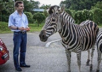 “ამერიკაში მიდისო და ამდენ პინგვინს და ზებრას ვის უტოვებს?” – გიორგი ფოფხაძე