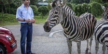 “ამერიკაში მიდისო და ამდენ პინგვინს და ზებრას ვის უტოვებს?” – გიორგი ფოფხაძე