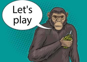 |”ხელისუფლება ძალიან ჰგავს იმ მაიმუნს რომელსაც ხელყუმბარა გადაუგდეს სათამაშოდ!” – თეა თუთბერიძე