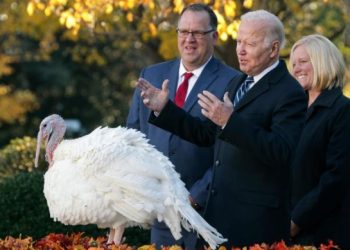 ჯო ბაიდენმა ინდაურები “ჟელე” და “თხილის კარაქი” შეიწყალა