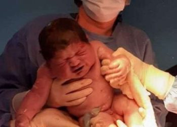 “გოლიათი” ქუთაისიდან – რამდენს იწონის “პატარა” მოსე