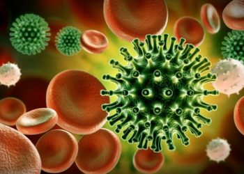 ახალმა ვაქცინამ აივ ინფექცია სრულად გაანადგურა — კვლევა მაიმუნებზე ჩატარადა