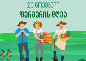 20 ნოემბერი ფერმერის დღეა