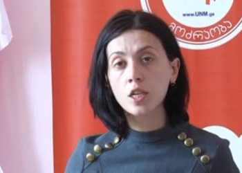 “პრეზიდენტი ციხეშია, შიმშილობს და არჩევნები წაგვართვეს, პარლამენტში ჯდომის აზრს მე ვერ ვხედავ” – ანა წითლიძე