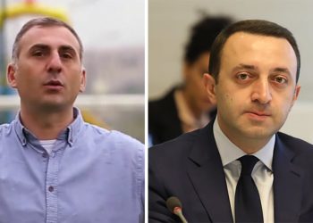 “პრემიერ-მინისტრზე, ბატონ ღარიბაშვილზე მინდა ვთქვა…” – ელისაშვილი
