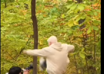 “ეს ტენდენციაა და ყველა მილიარდერს და@@@ვებული შვილი ყავს?” – ნინო ჟვანია ბერა ივანიშვილის ვიდეოს ავრცელებს