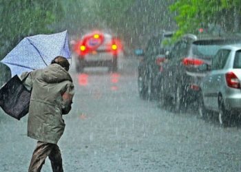 წვიმა, ქარი, თოვლი – როგორი ამინდი გველის უახლოეს დღეებში