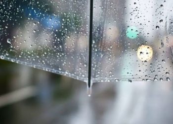 წვიმა ელჭექით, ქარი, თოვლი – როგორი ამინდი გველის უახლოეს დღეებში?