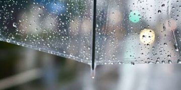 წვიმა ელჭექით, ქარი, თოვლი – როგორი ამინდი გველის უახლოეს დღეებში?